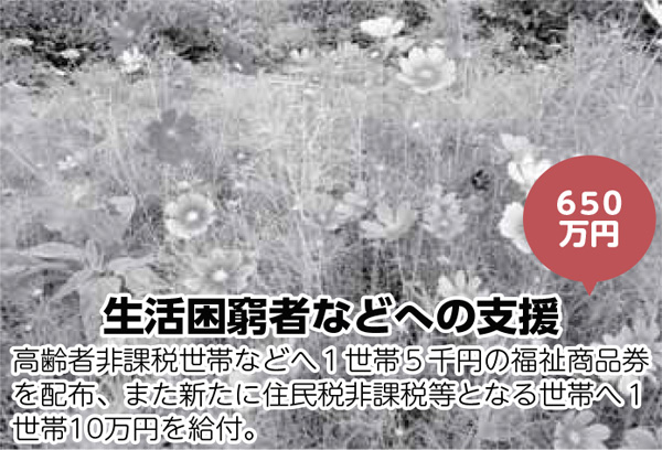 生活困窮者などへの支援／高齢者非課税世帯などへ１世帯５千円の福祉商品券を配布、また新たに住民税非課税等となる世帯へ１世帯10万円を給付。