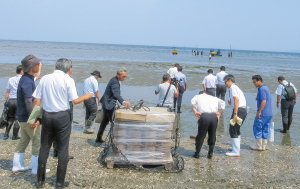 黒ノリの色落ち対策の調査（伊勢市）