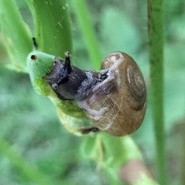 稲垣勇議員ページ 画像